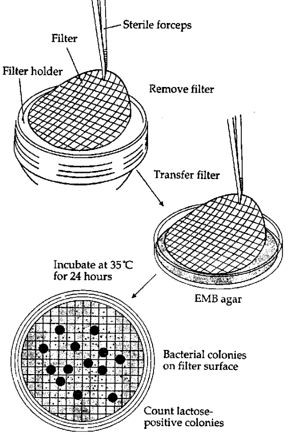 1689644240836927A0Py.png 640 (7).png